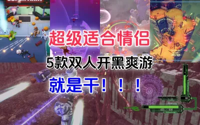 双人游戏推荐合集第三期