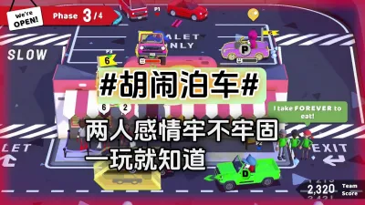 胡闹泊车